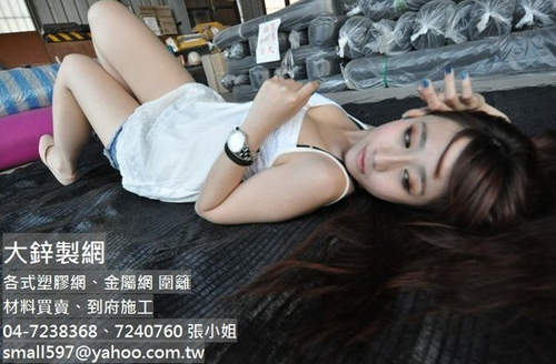 圖片13 圖片13