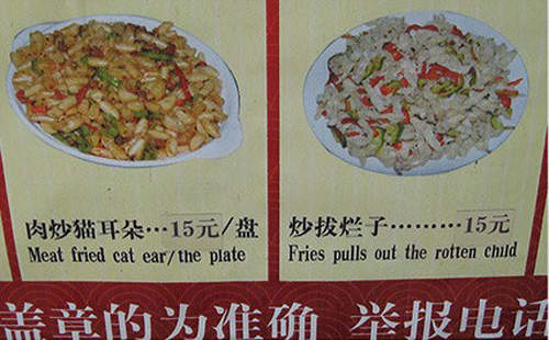 圖片13 圖片13