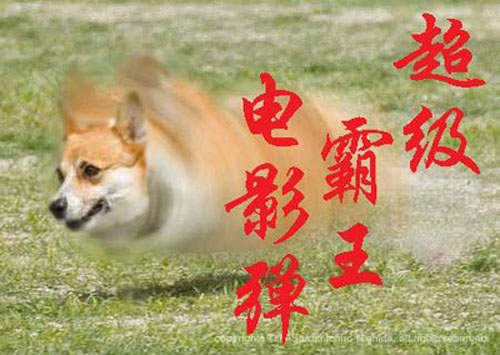 圖片18 圖片18
