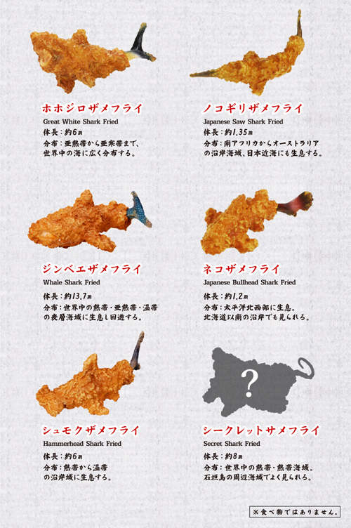 圖片12 圖片12