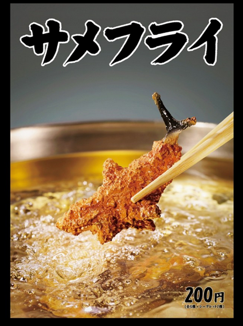 圖片13 圖片13