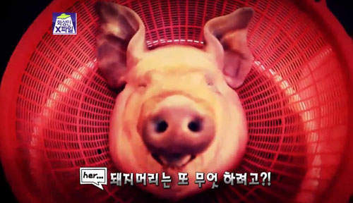 圖片9 圖片9