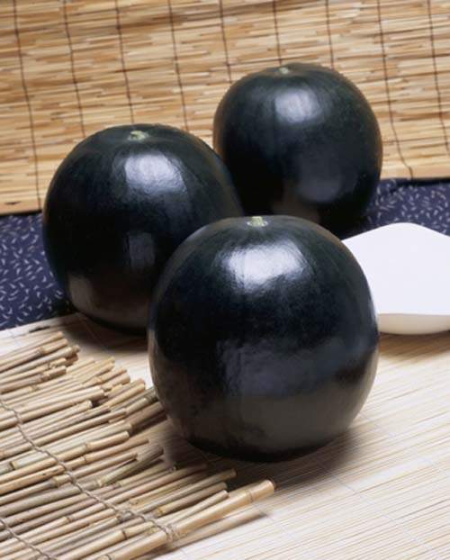 圖片8 圖片8
