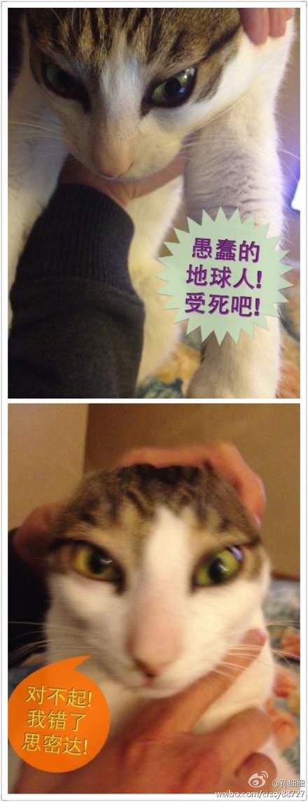 圖片6 圖片6