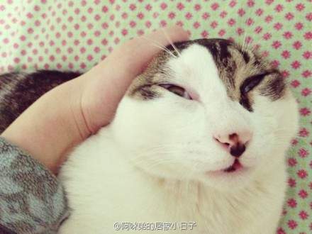 圖片24 圖片24