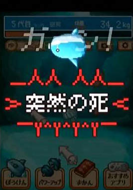 圖片13 圖片13