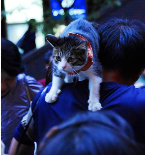 圖片4 圖片4