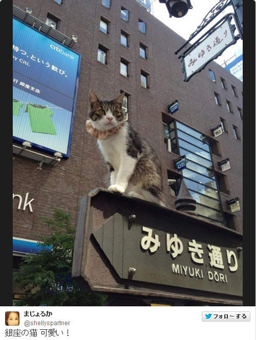 圖片7 圖片7