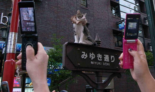 圖片12 圖片12