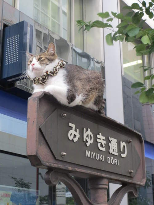 圖片13 圖片13