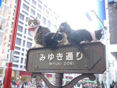 圖片16 圖片16
