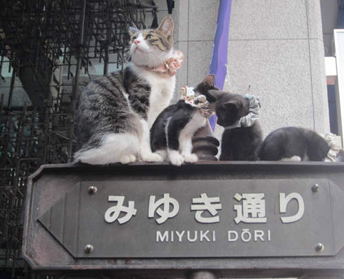 圖片17 圖片17