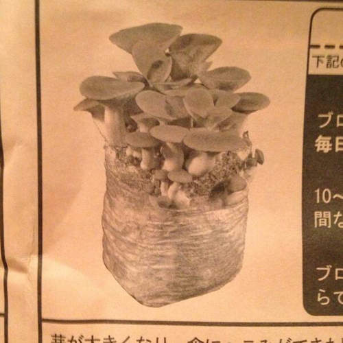 圖片4 圖片4