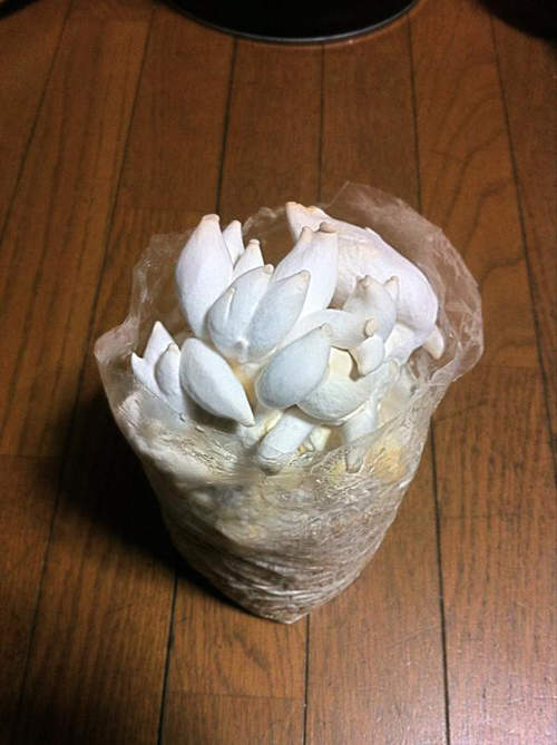 圖片10 圖片10