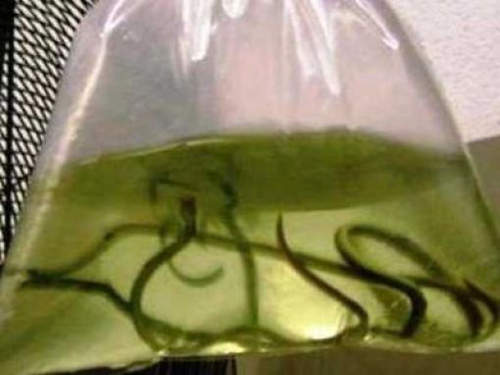 圖片13 圖片13