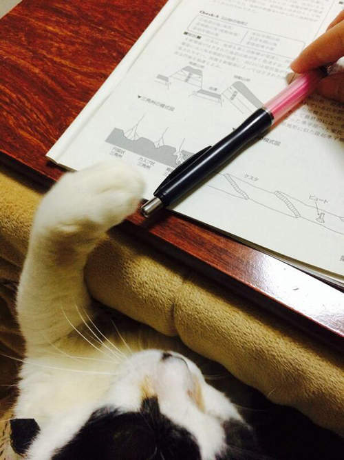 圖片15 圖片15