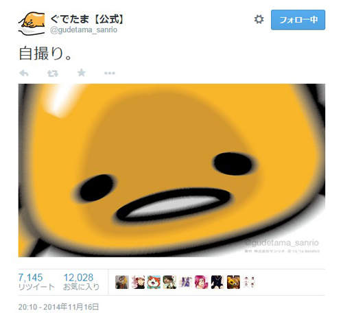 圖片10 圖片10