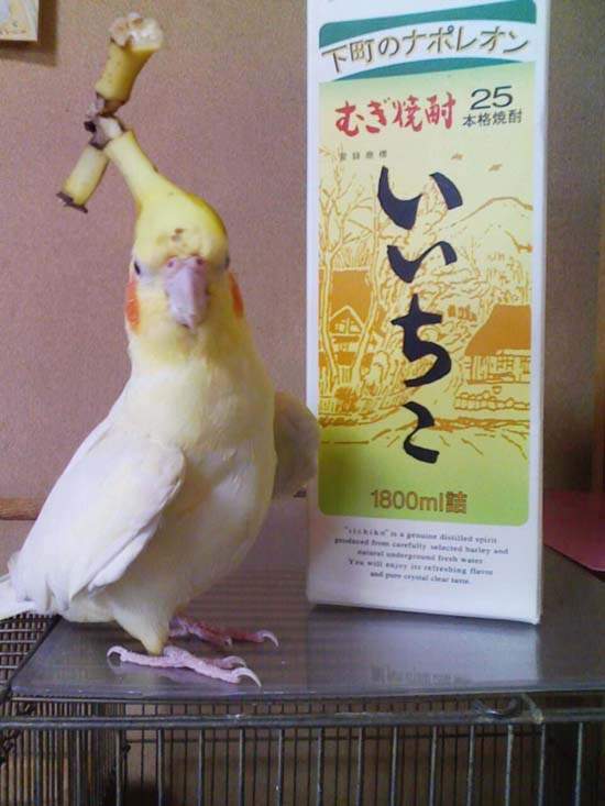 圖片10 圖片10