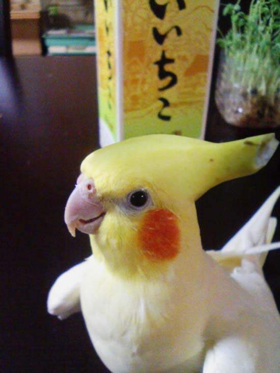 圖片9 圖片9
