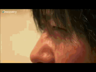 圖片6 圖片6