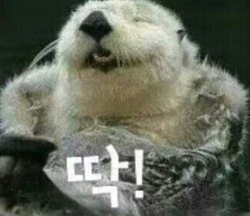 圖片10 圖片10