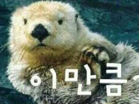圖片4 圖片4