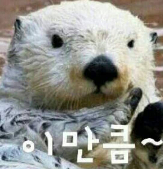 圖片5 圖片5