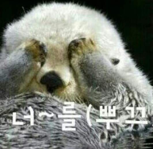 圖片8 圖片8