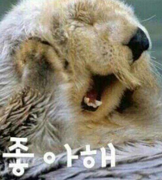 圖片9 圖片9