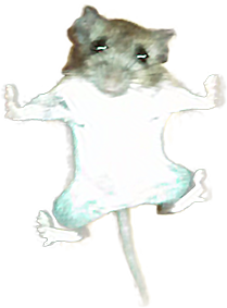 圖片9 圖片9