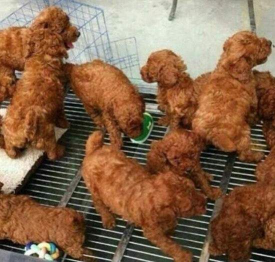 圖片6 圖片6
