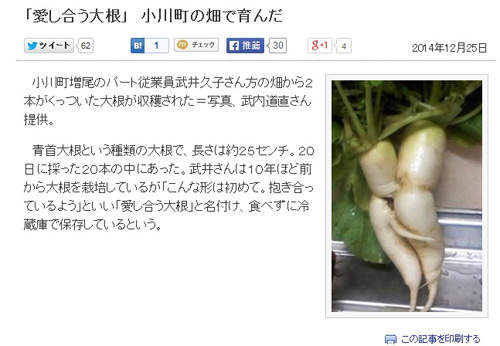 圖片6 圖片6