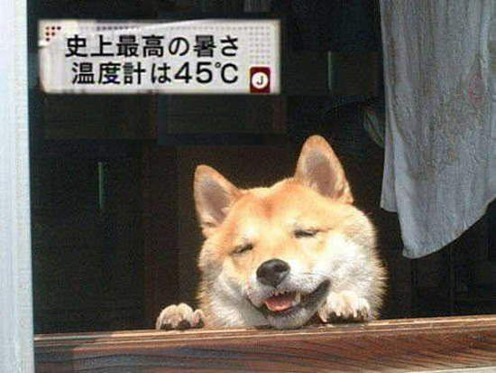 圖片13 圖片13