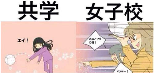 圖片4 圖片4