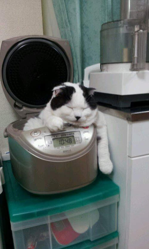 圖片7 圖片7