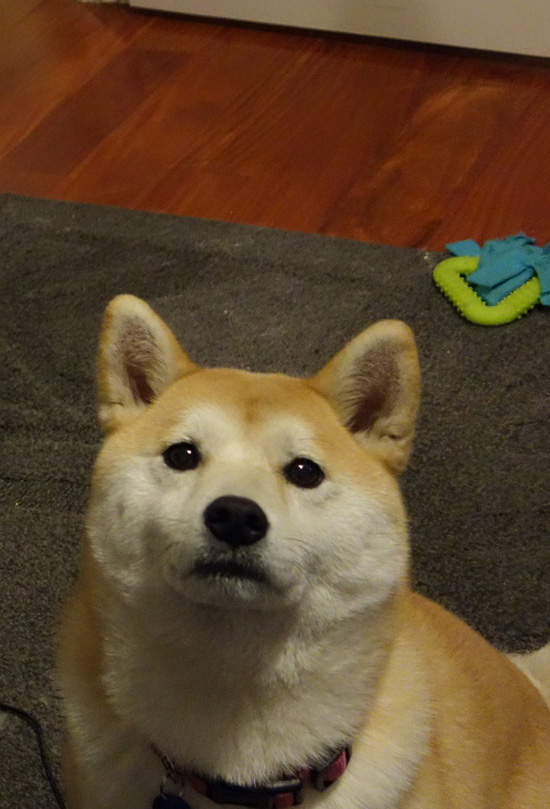圖片10 圖片10