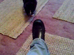 圖片6 圖片6