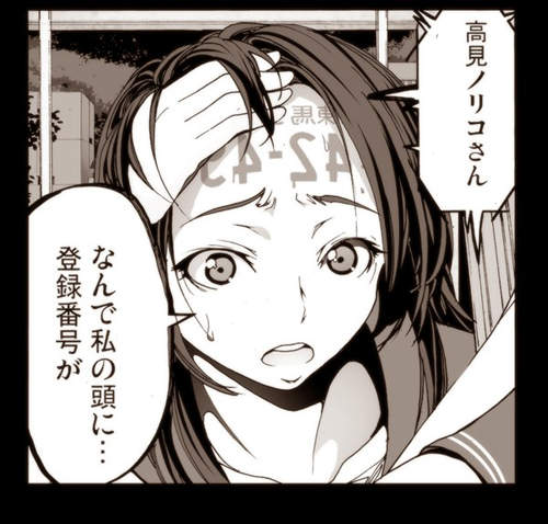 圖片9 圖片9