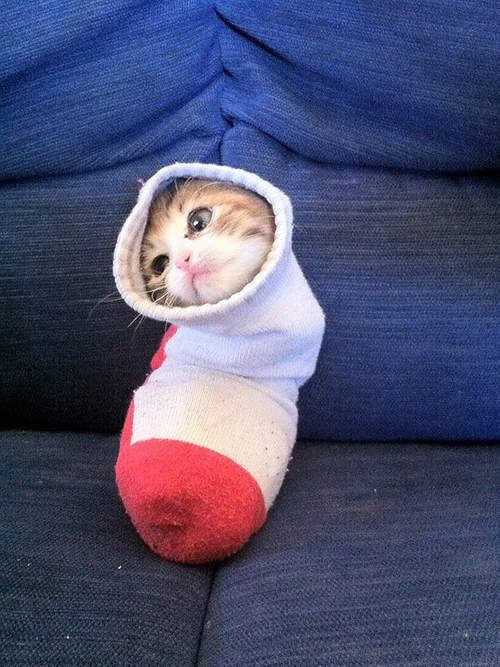 圖片4 圖片4