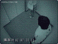 圖片11 圖片11