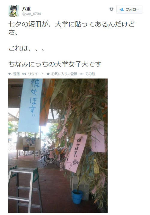 圖片11 圖片11