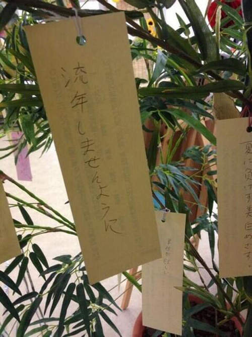 圖片12 圖片12