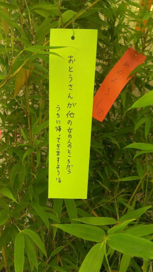 圖片13 圖片13