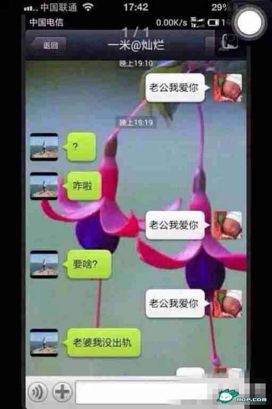 圖片16 圖片16