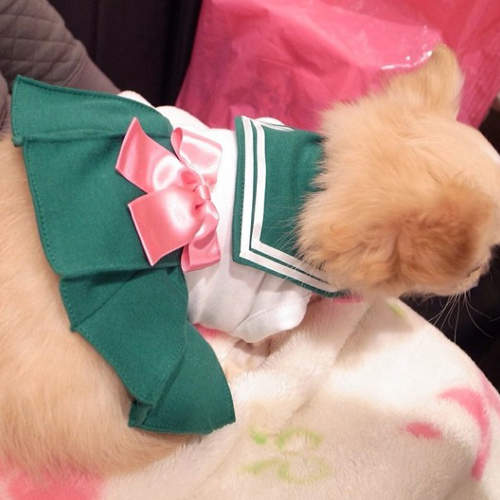 圖片11 圖片11