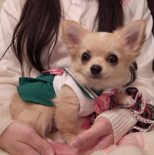 圖片12 圖片12