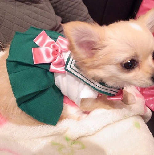 圖片9 圖片9