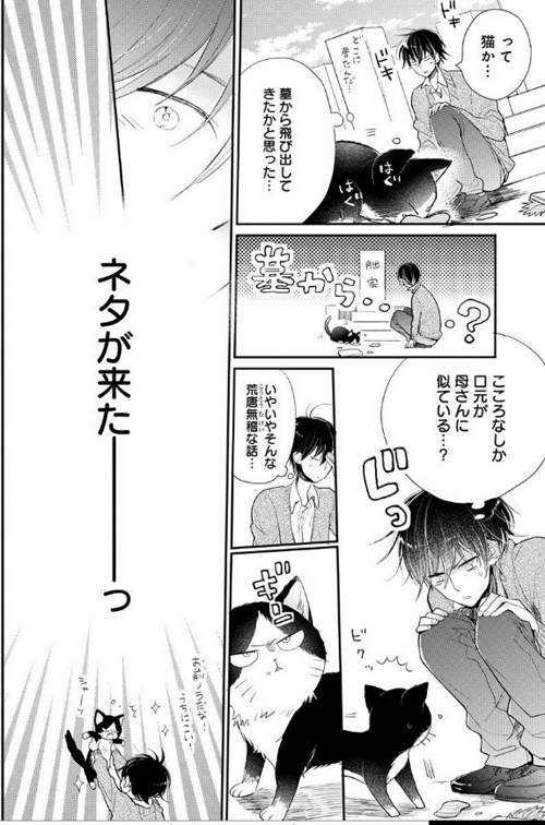 圖片5 圖片5