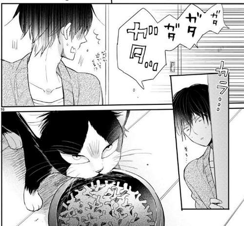 圖片8 圖片8