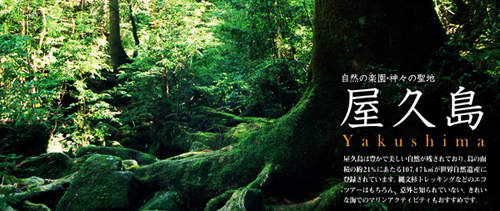 圖片8 圖片8